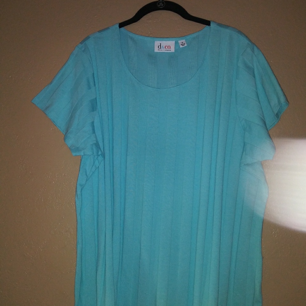 Light green blouse 1X